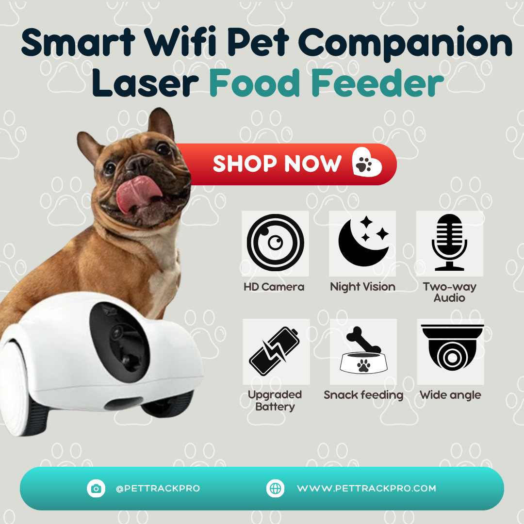 Smart Wifi Pet Companion Laser Treat Feeder Dispenser with Camera, Intelligent Robot, Pet Companion, Cat and Dog Toys