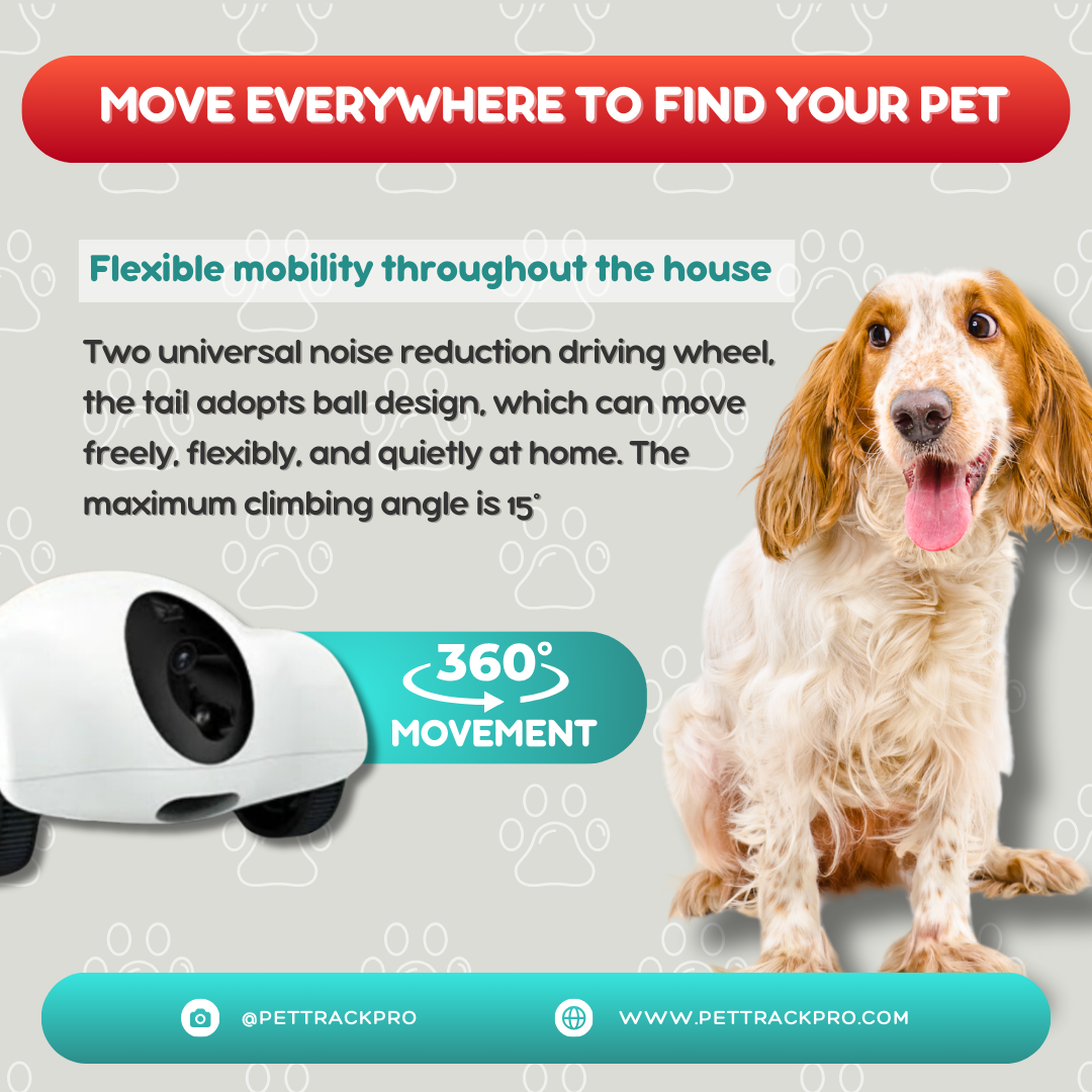 Smart Wifi Pet Companion Laser Treat Feeder Dispenser with Camera, Intelligent Robot, Pet Companion, Cat and Dog Toys