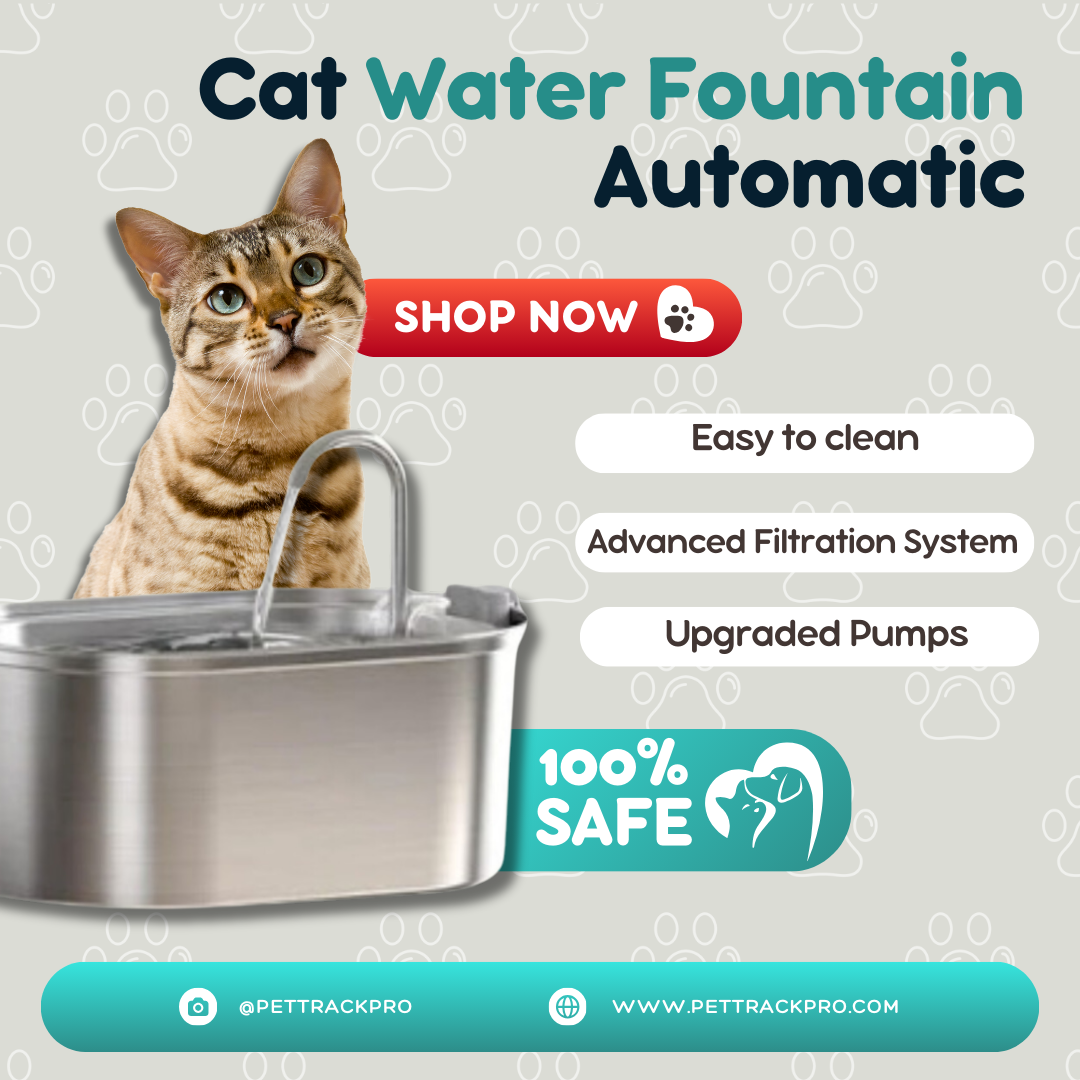 Cat Water Fountain Automatic Drinker For Cats Water Feeder Pet Water Dispenser Drinking Fountain For Cat