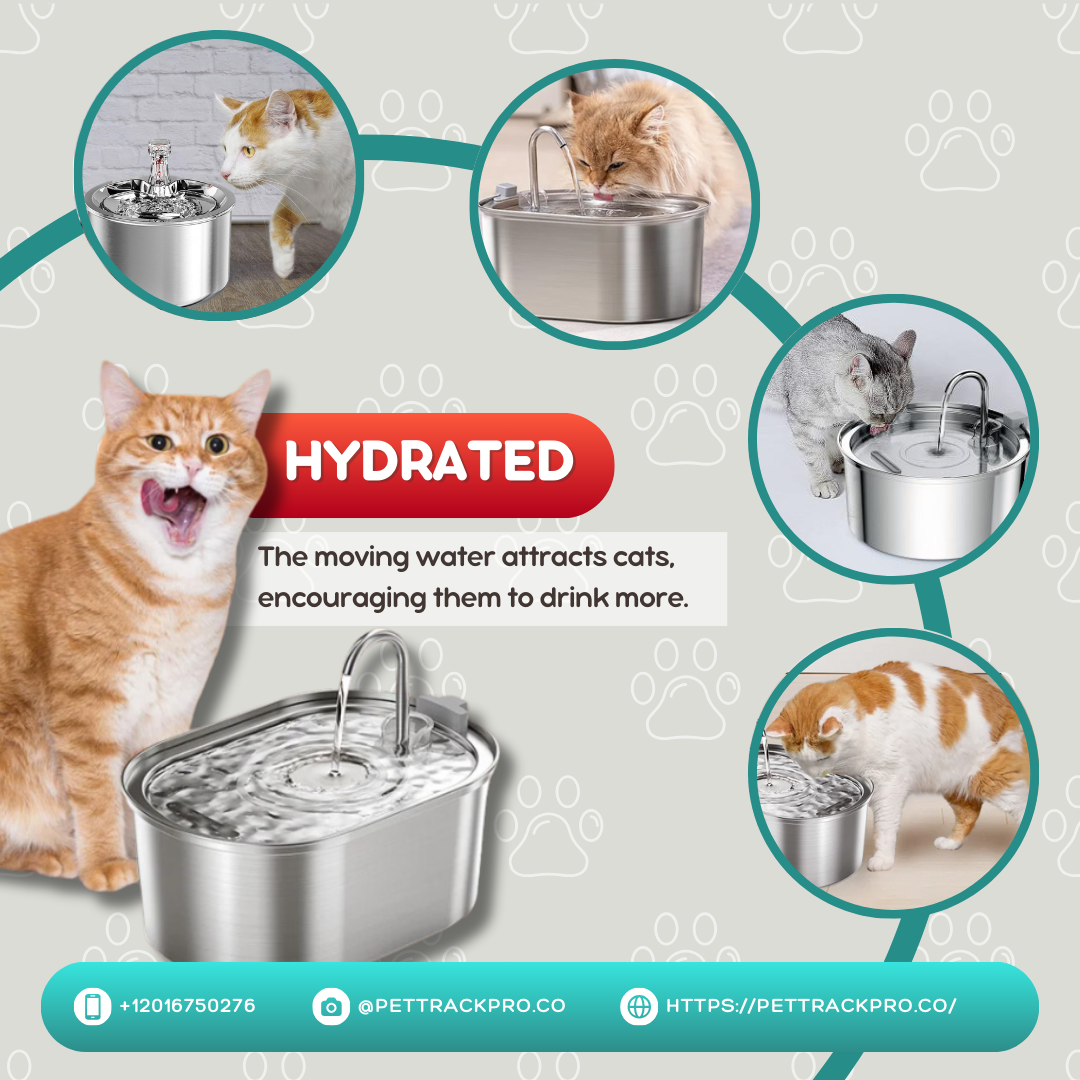 Cat Water Fountain Automatic Drinker For Cats Water Feeder Pet Water Dispenser Drinking Fountain For Cat