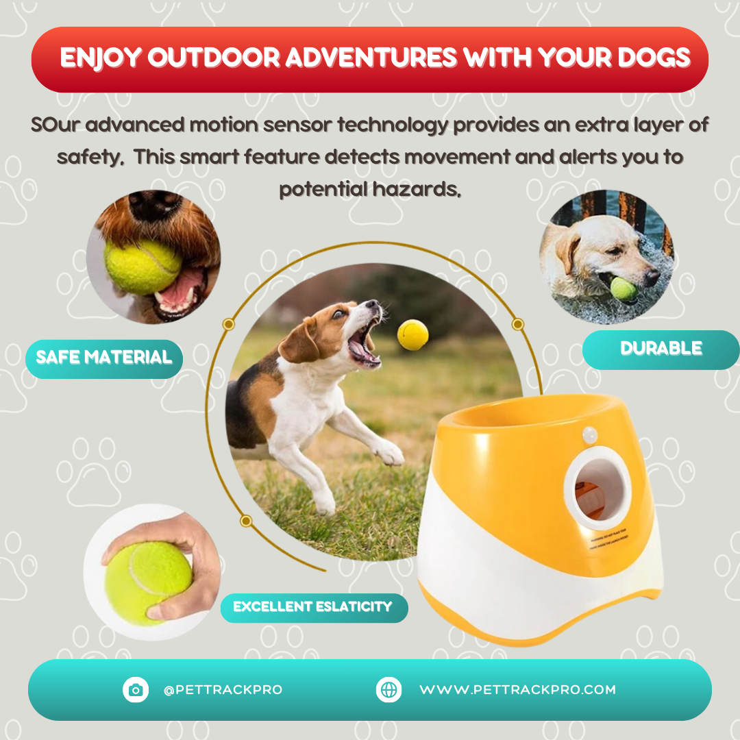 Dog Training Ball Launcher Dogs Toy Tennis Ball Launcher Jumping Ball Pitbull Toys Tennis Ball Machine Automatic Throw