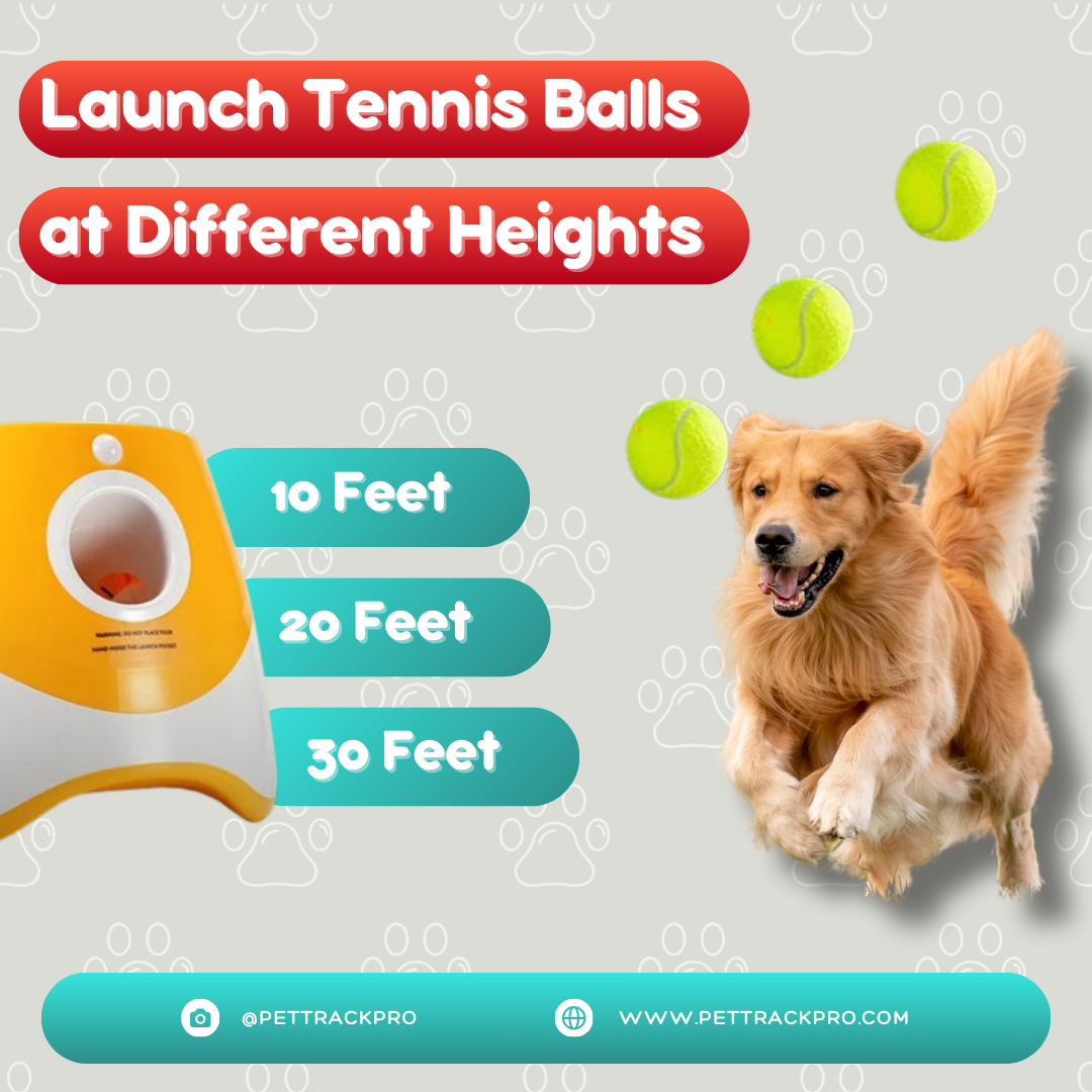 Dog Training Ball Launcher Dogs Toy Tennis Ball Launcher Jumping Ball Pitbull Toys Tennis Ball Machine Automatic Throw