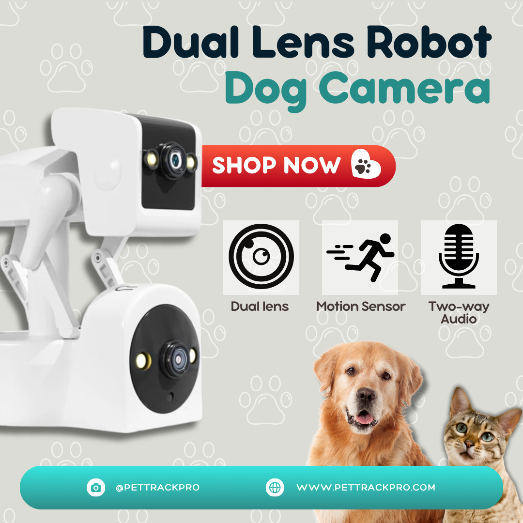 Dual Lens Robot Dog Camera 1080P 5G Full Color PTZ IP Dome Camera Yoosee APP AI Humanoid Detection Baby Monitor-EU Plug