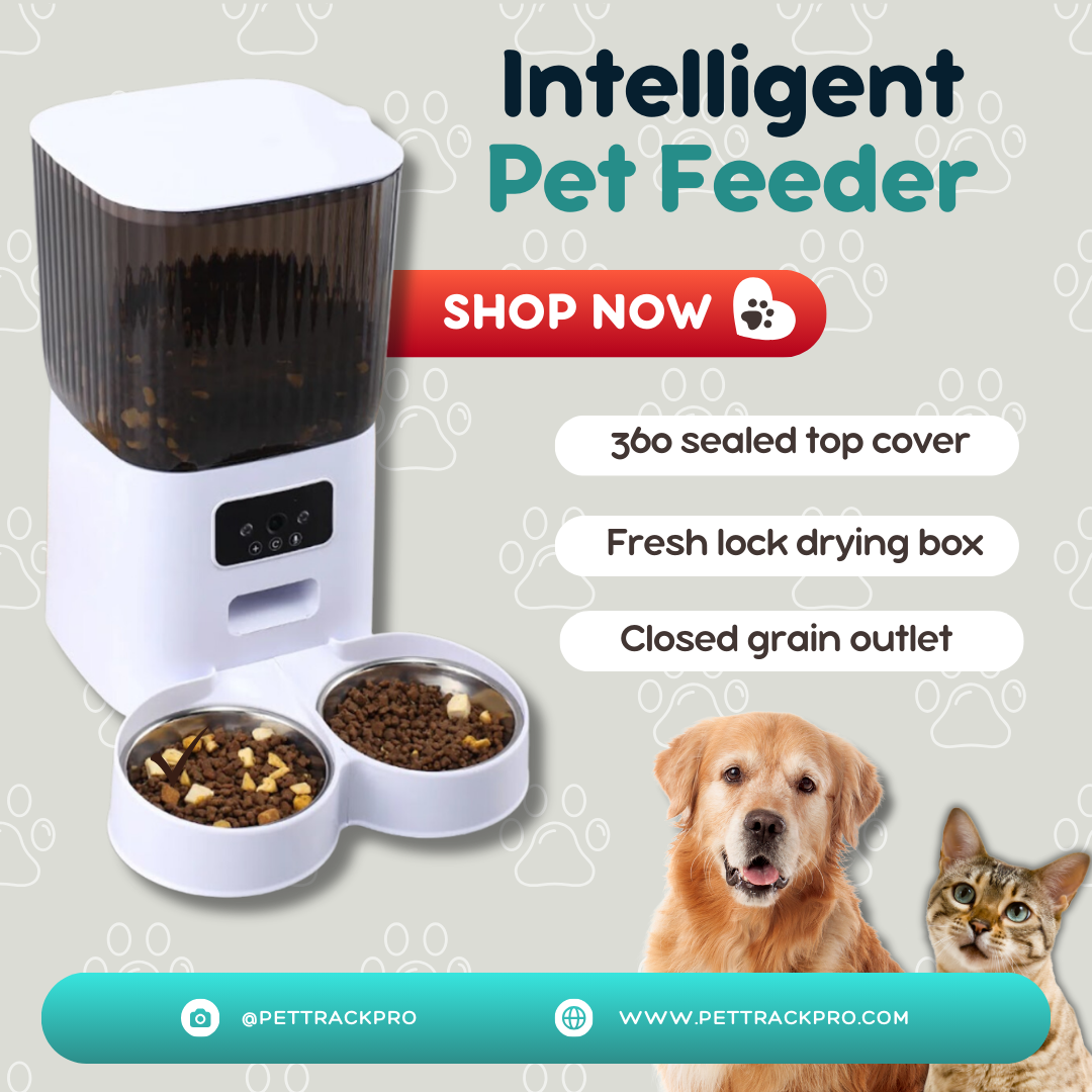 Intelligent Pet Feeder With Camera Dry Food Video Dispenser Pet Smart Voice Recorder Auto Feeder For Dog