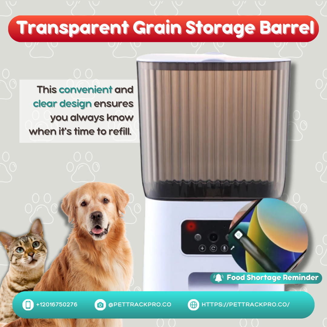 Intelligent Pet Feeder With Camera Dry Food Video Dispenser Pet Smart Voice Recorder Auto Feeder For Dog